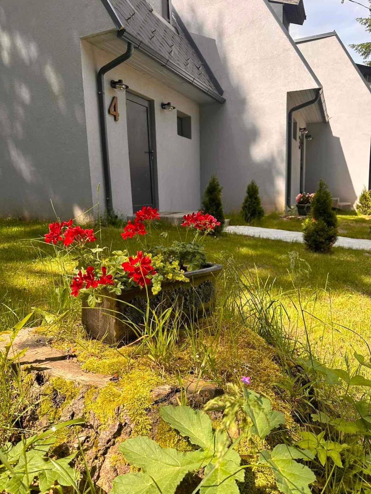 Boro Green Holiday Village Боровец Экстерьер фото